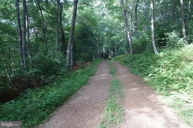 0 Wimer Rd unit WVPT2000246, Franklin, WV 26807 - photo 2