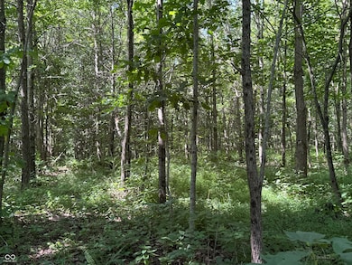 8270 W Chafin Chapel Rd, Ellettsville, IN 47429 - photo 4