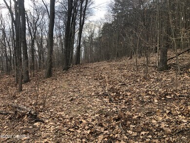 0 Windsong Ln unit 20-90047, Danville, PA 17821 - photo 2