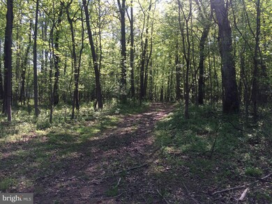 0 Purcellville Rd unit VALO415100, Purcellville, VA 20132 - photo 5