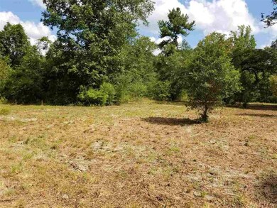 650 Whiddon Lake Rd, Crawfordville, FL 32327 - photo 5