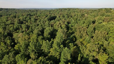 0 Rock Springs Rd unit RTC2964004, Cumberland Furnace, TN 37051 - photo 4