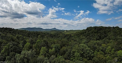 00 Peewee Cromer Rd, Danbury, NC 27016 - photo 2