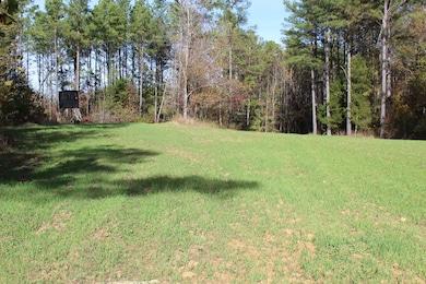 000 Enon Rd, Bolivar, TN 38008 - photo 5