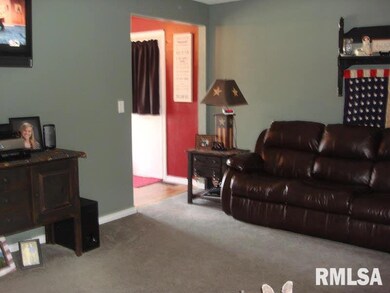 1306 W Robinson St, Harrisburg, IL 62946 - photo 5