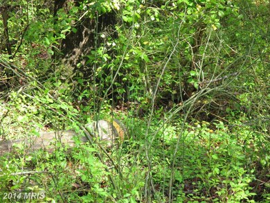 0 Owens Dr unit 1002967086, King George, VA 22485 - photo 4