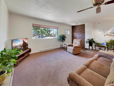 706 S Cedar St, Cortez, CO 81321 - photo 5