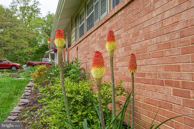 6705 Carlinda Ave, Columbia, MD 21046 - photo 5