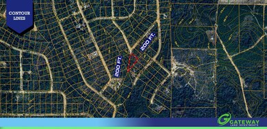 Orange Peel Dr, Marianna, FL 32448 - photo 6