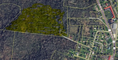 958 Dollar Hollow Rd, Pulaski, TN 38478 - photo 7