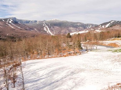 112 Thomas Pasture Rd unit 67, Stowe, VT 05672 - photo 6