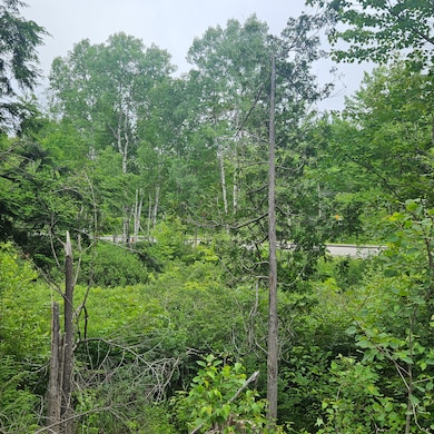 Lot 1 Kelly Ln, Millinocket, ME 04462 - photo 5