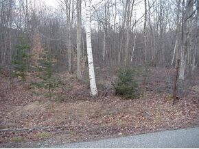 28 River Rd, Waterville Valley, NH 03215 - photo 2