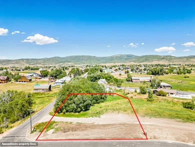 Aerial view of property's location with property parcel outlined and a mountainous background