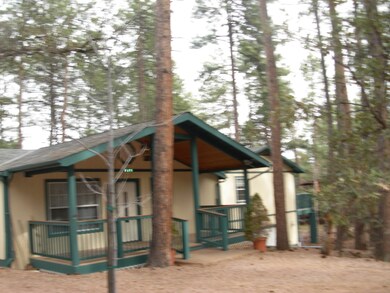 3937 N Orloff Rd, Pine, AZ 85544 - photo 2