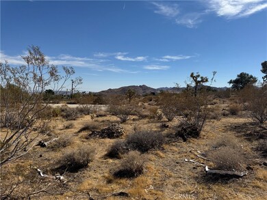 7217 Sunny Vista Rd, Joshua Tree, CA 92252 - photo 4
