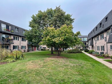 904 S Plum Grove Rd unit 301, Palatine, IL 60067 - photo 2