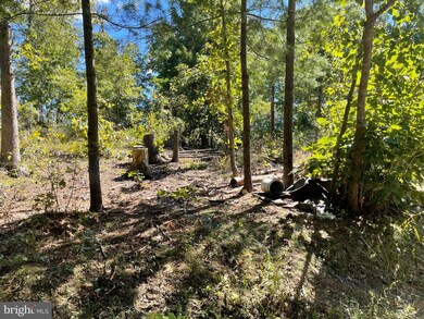 1333 Stoneybreak Rd, Warfordsburg, PA 17267 - photo 6