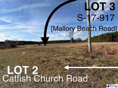 Lot 2 Catfish Church Rd, Latta, SC 29565 - photo 4