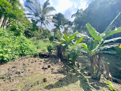 83-5586 Hawai?i Belt Rd, Captain Cook, HI 96704 - photo 6