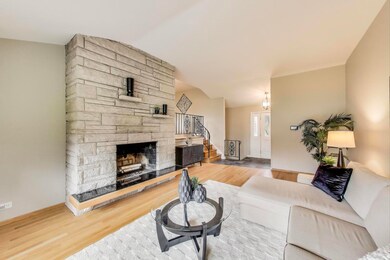 1128 Olympus Dr, Naperville, IL 60540 - photo 2