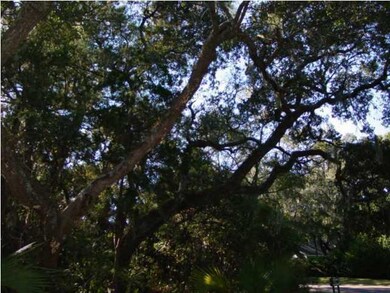 3310 Seabrook Island Rd, Johns Island, SC 29455 - photo 3