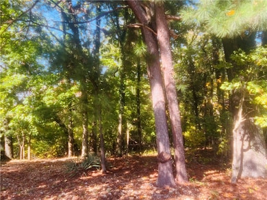 0 Ulverston Dr, Bella Vista, AR 72714 - photo 3