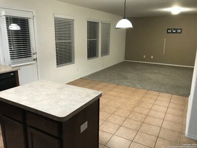 4019 Ashleaf Pecan, San Antonio, TX 78261 - photo 5