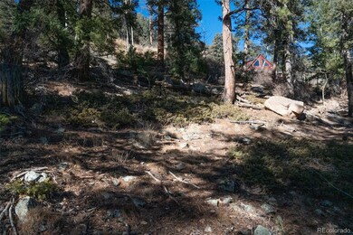 11722 Braun Way, Conifer, CO 80433 - photo 5