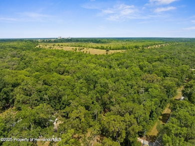 Citrus drone view 2