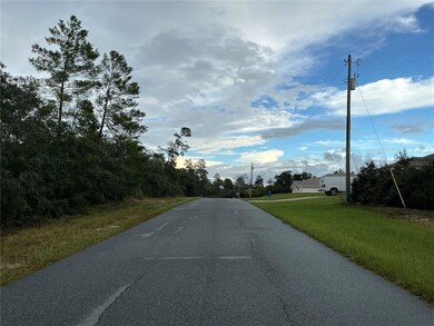 0 SW 178th St, Ocala, FL 34473 - photo 7