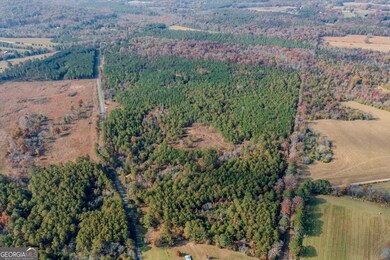 #46 Owens Dairy Rd, Lyerly, GA 30730 - photo 6