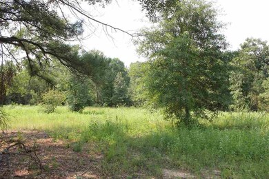 TBD Ashly, Texarkana, TX 75503 - photo 5