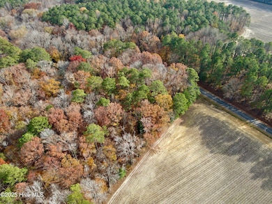 0 Williams St, Williamston, NC 27892 - photo 6