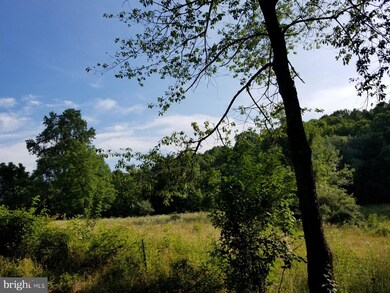 0 Slate Mills Rd unit VARP106142, Sperryville, VA 22740 - photo 6