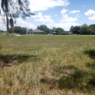 8009 Castile Rd, Sebring, FL 33876 - photo 6