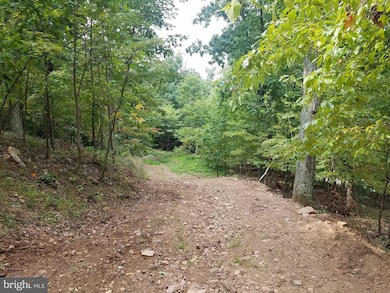 Lot 70 Driftwood Dr, Valley, WV 25420 - photo 6