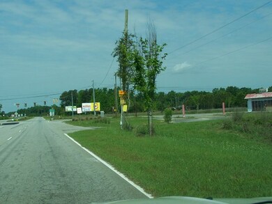 00 Highway 15 and 301, Santee, SC 29142 - photo 5
