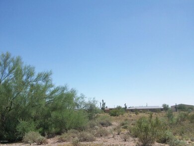 Canyon Street - 5