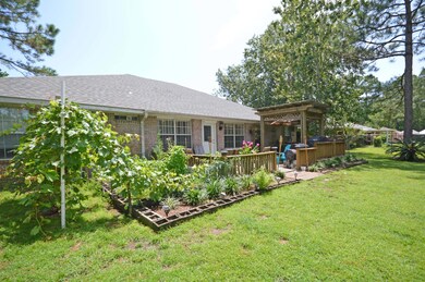 backyard garden