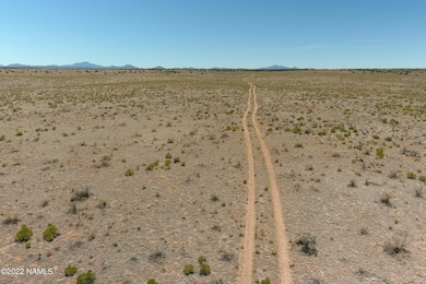 3750 S Prickly Pear Wash, Williams, AZ 86046 - photo 2