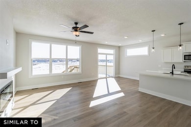 4411 NE 8th St, Ankeny, IA 50021 - photo 3