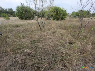 1145 County Road 4006, Lampasas, TX 76550 - photo 4