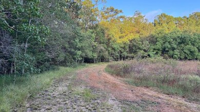 0 Lower Bay Rd unit LotWP001, Waveland, MS 39520 - photo 7