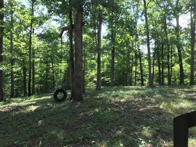 Private Back Yard