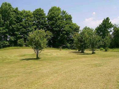 Yard/Garden.