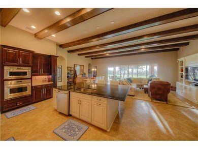 5103 Longspur Ct, Lithia, FL 33547 - photo 5