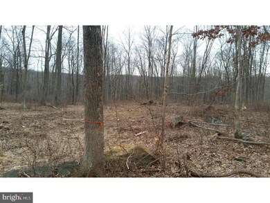 0 Swamp Creek Rd unit PABU503712, Pennsburg, PA 18073 - photo 2