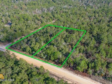 0000 Alene Dr, Alford, FL 32420 - photo 3