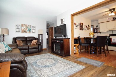 621 Denver St, Lincoln, IL 62656 - photo 6